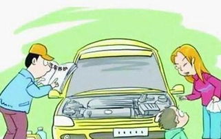 新車保養全攻略 從提車到首保，新手必看專業指南